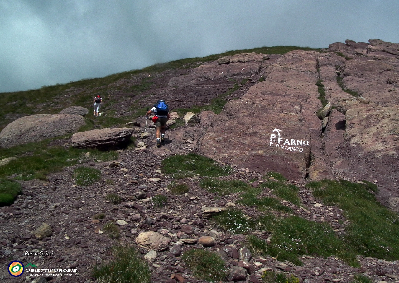 42 Passo del Farno o Valsanguigno W (2320 m.).JPG